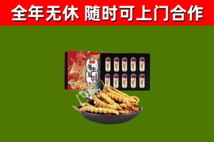 太仓回收冬虫夏草价格